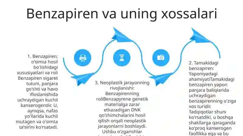 Tamakidagi Benzapirenning O'Pkada Neoplastik Jarayonlar Rivojlanishidagi Ahamiyati 3