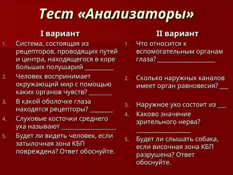 Гигиена и значение слухового и зрительного органов 3