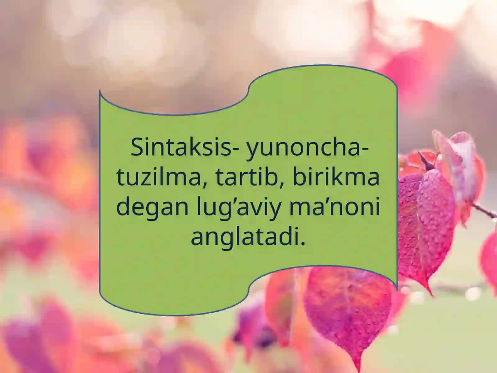 SODDA GAPLAR 3