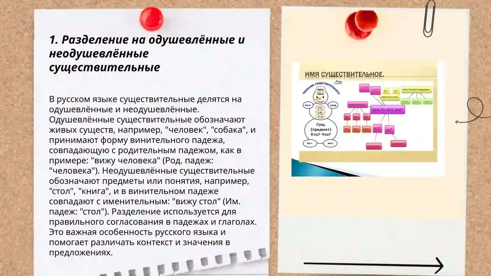 Разделение на одушевлённые и неодушевлённые существительные 3