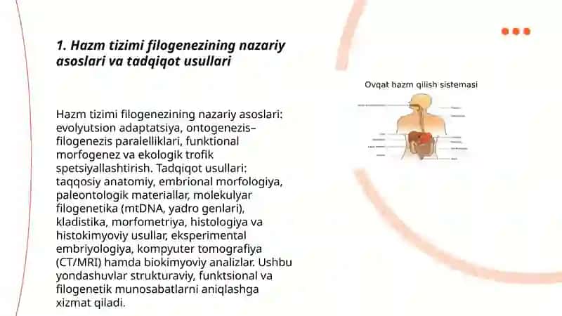 Hazim tizimi Filogenezi 3
