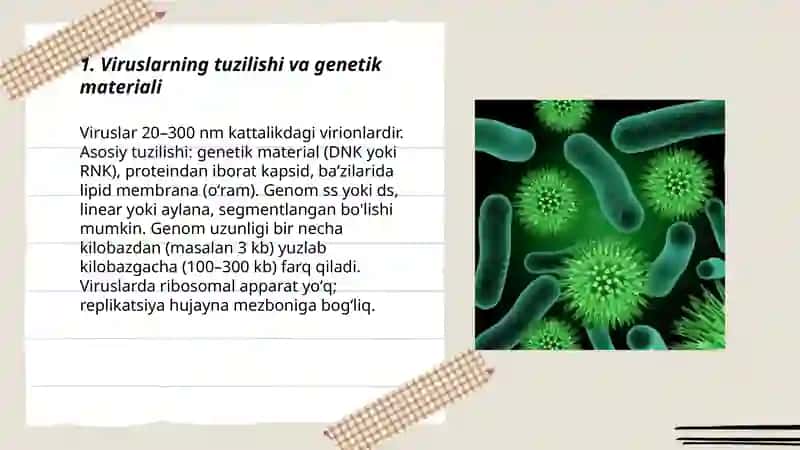 Viruslar. Bakteriyalar. Zamburugʻlar. Suvoʻtlari Rabbimqulova Sarvinoz 3