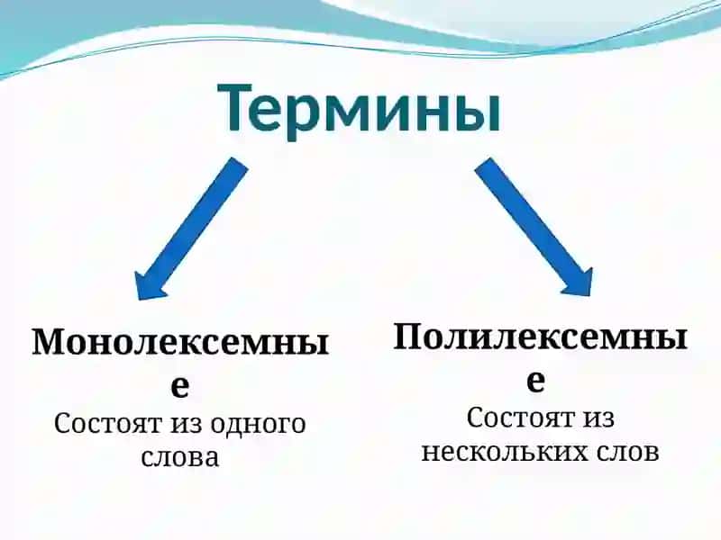 Научная терминология потекстолингвистике 3