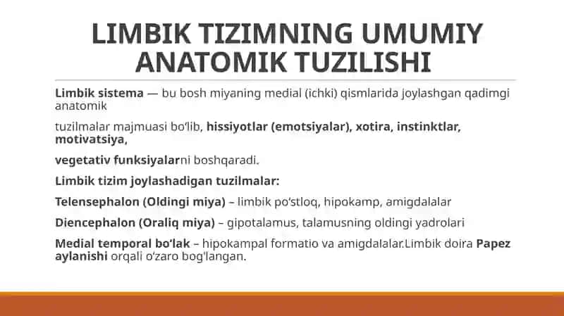 Limbik sistema.Klinik ahamyati 3