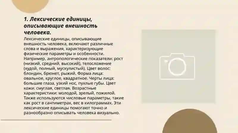 Образ человека в языке 3