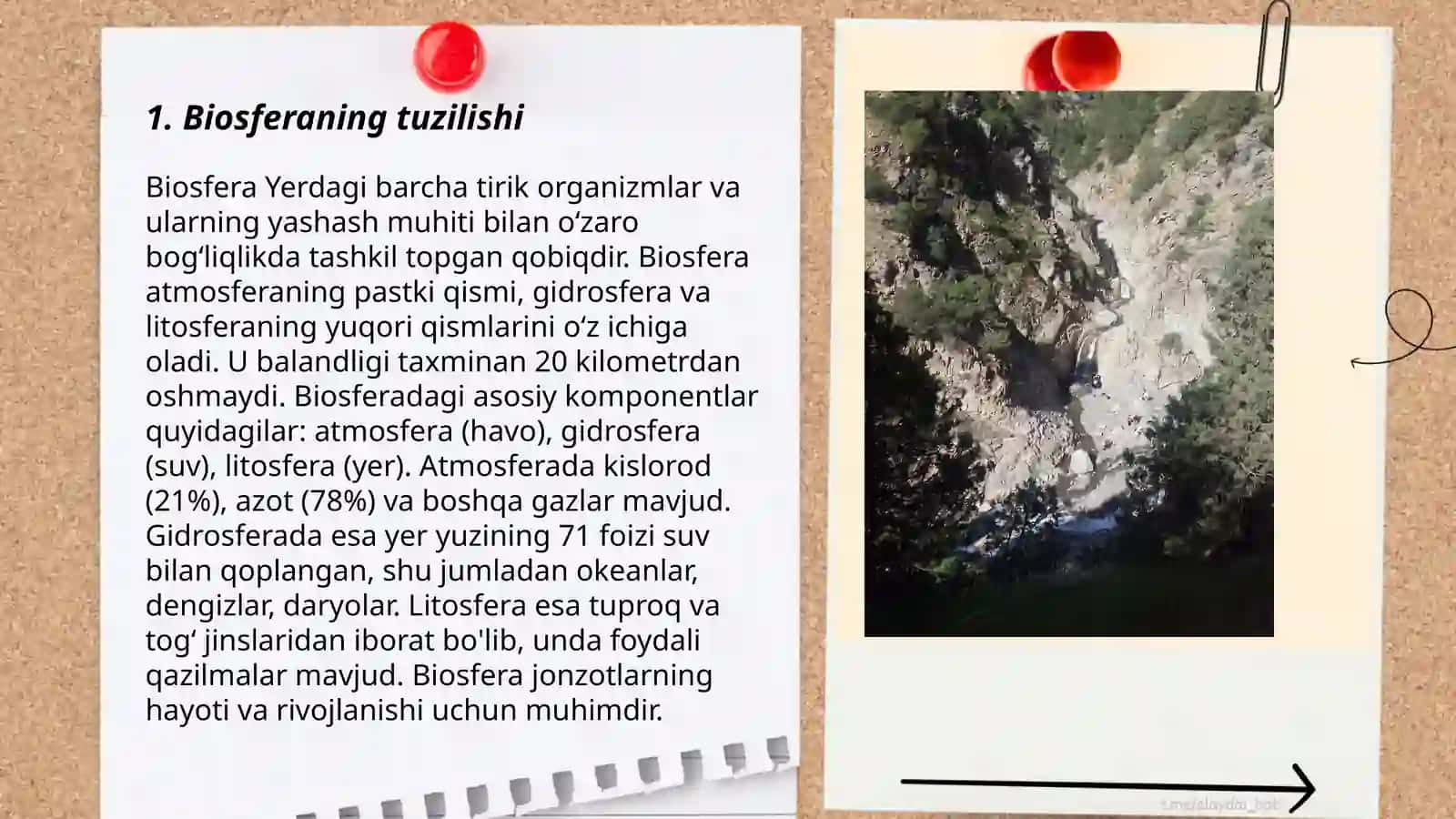 Biosfera taʼlimoti boʼyicha masala va mashqlar tuzish 3