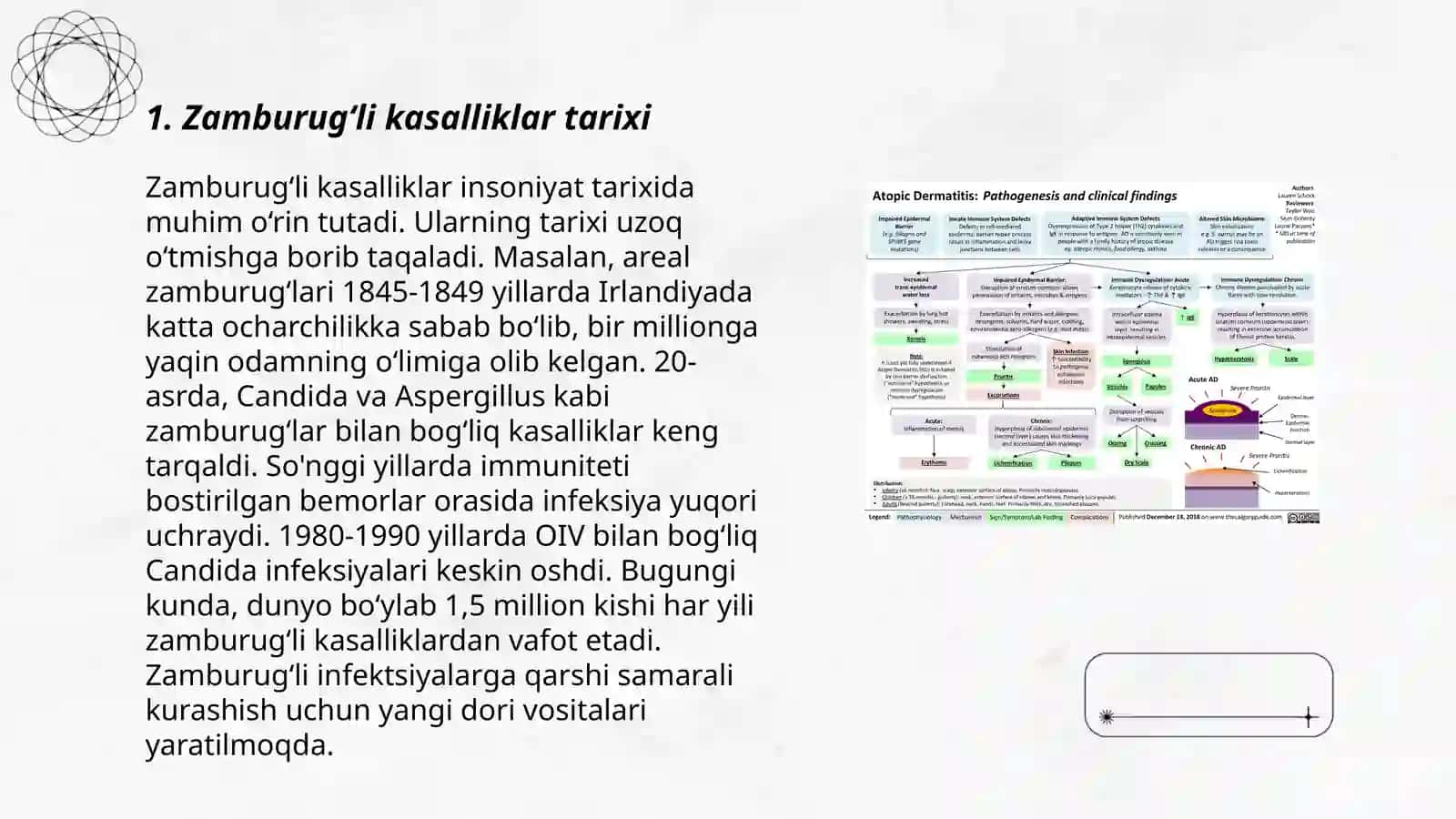 Zamburugʻli kasalliklarning qoʻzgʻatuvchilari, patogenezi va laboratoriya tashxisi 3
