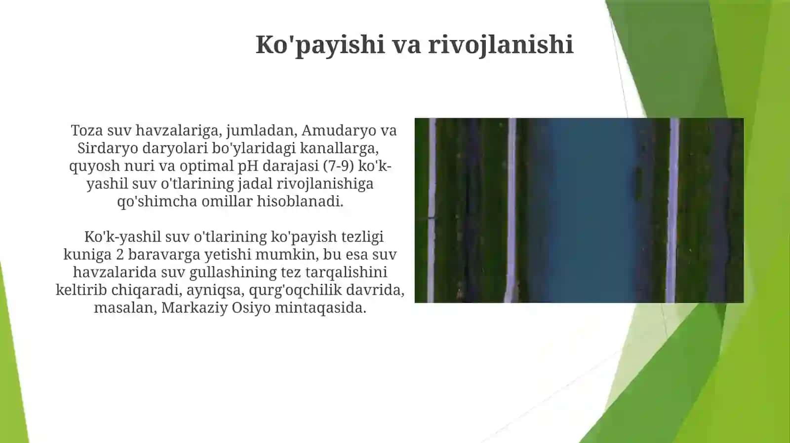 Suvoʻtlarkoʻkyashilsuvoʻtlarlari 3