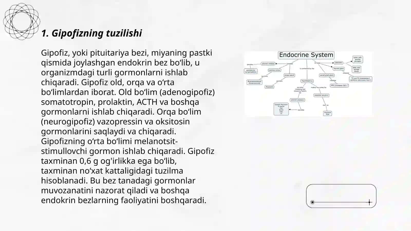 Endokrin sistema.Gipofiz va meda osti bezi 3
