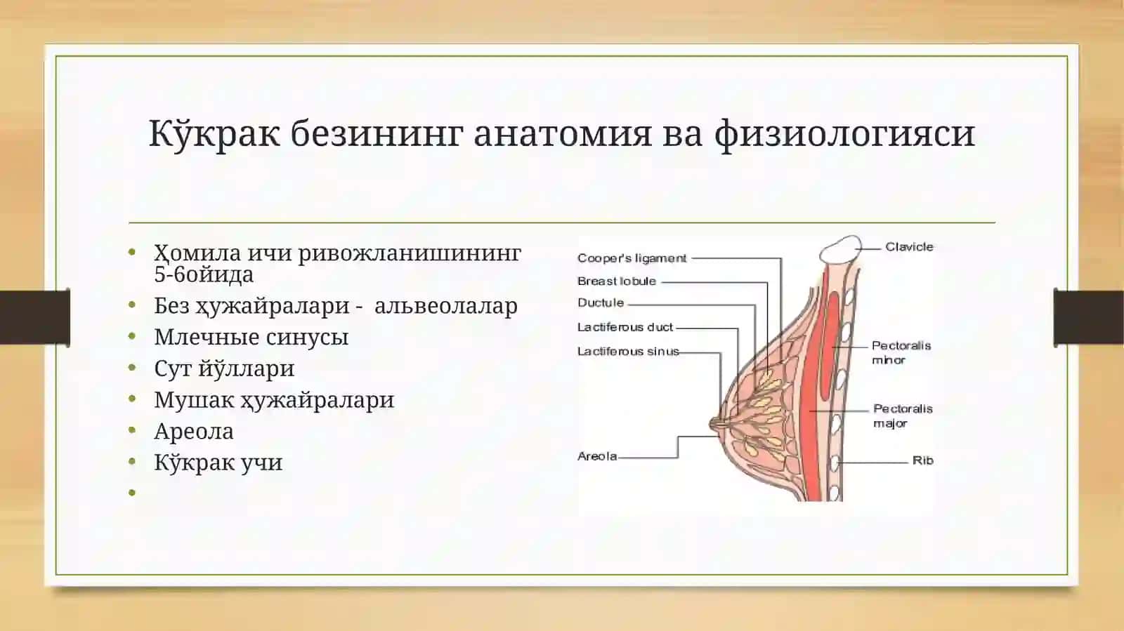 Reproduktiv tizimi a’zolari radiologik tekshiruv usullari 3
