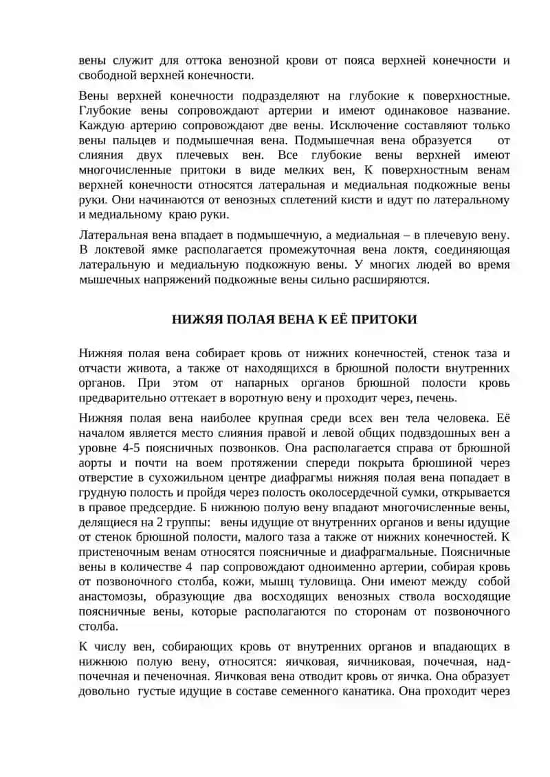 Лекция 13. «Общая анатомия венозной и лимфатической системы» 3