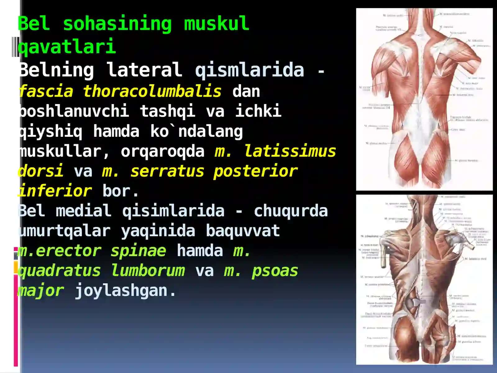 BELSOHASI VА QORIN PARDA ORQA BO`SHLIG`NING KLINIKANATOMIYASI VA OPERATSIYALARI.BUYRAKVАSIYDIKYO`LLARIDAOPERATSIYALAR 3