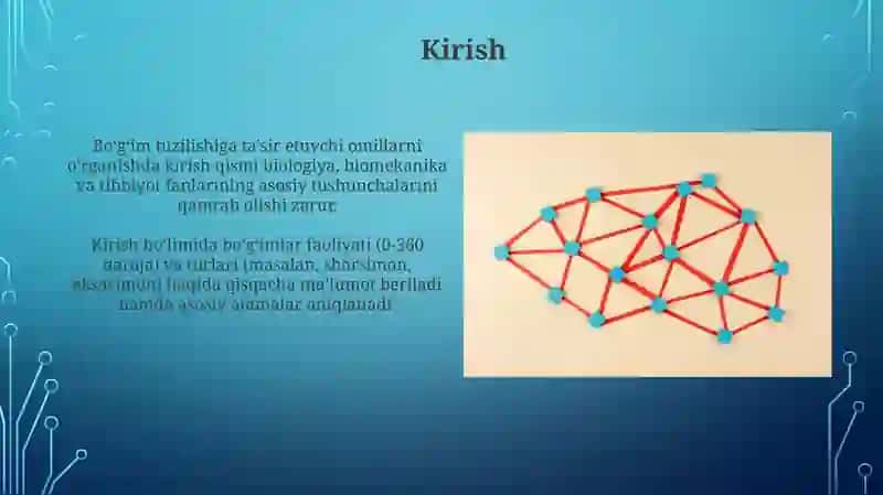 Bo’g’imlar tuzilishiga tashqi va ichki faktorlarni ta’siri 3