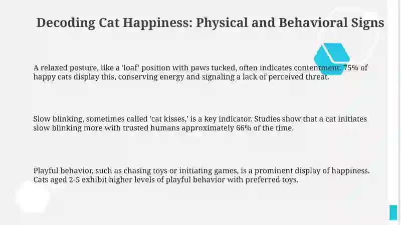 Decoding Cat Bliss: Signs of a Content Feline 3