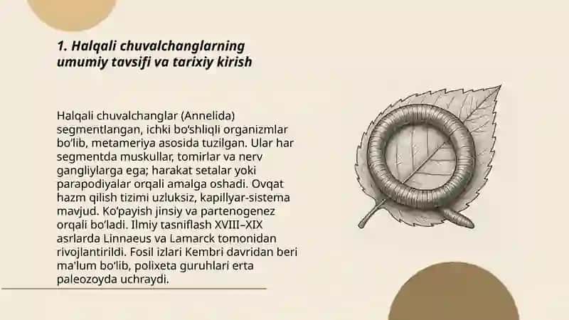 Halqali chuvalchanglar tipi vakillarining umumiy tavsifi va klassifikatsiyasi 3