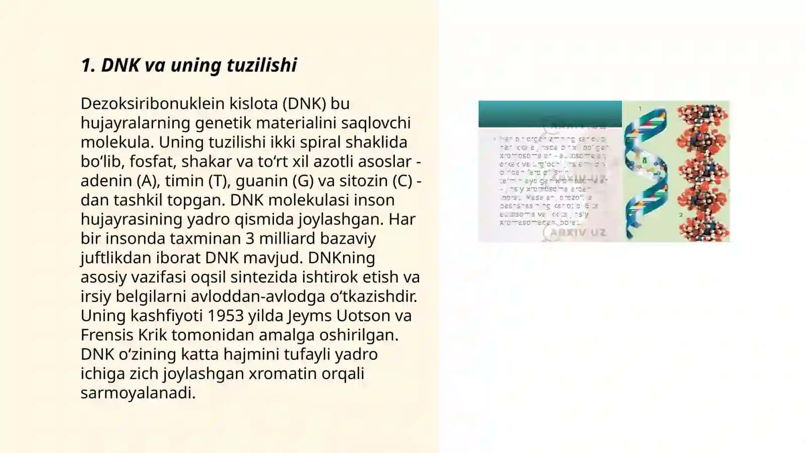 Molekular genetikasi asoslari va irsiy kasalliklar 3
