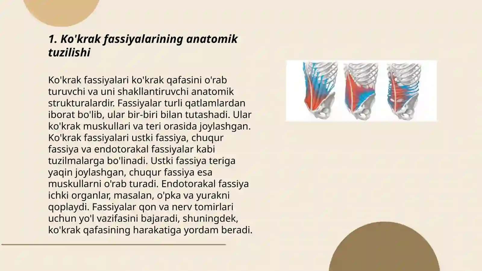 Ko'krak va Qorin Fassiyalari, ularning Klinik Ahamiyati 3