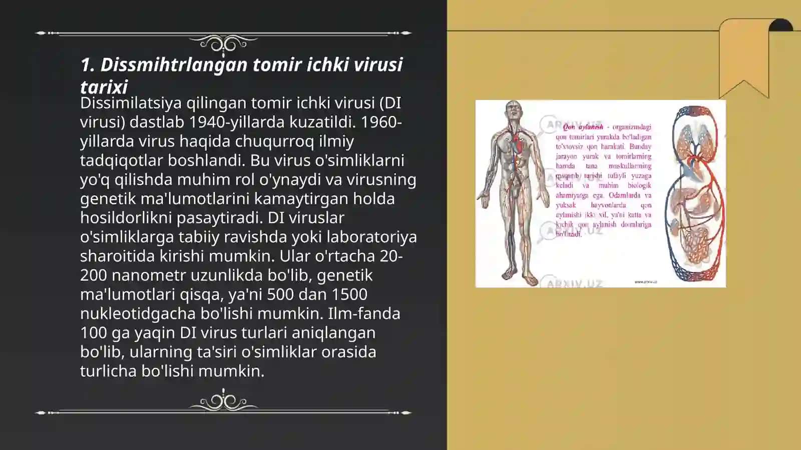 Dissmihtrlangan tomir ichki virusi 3