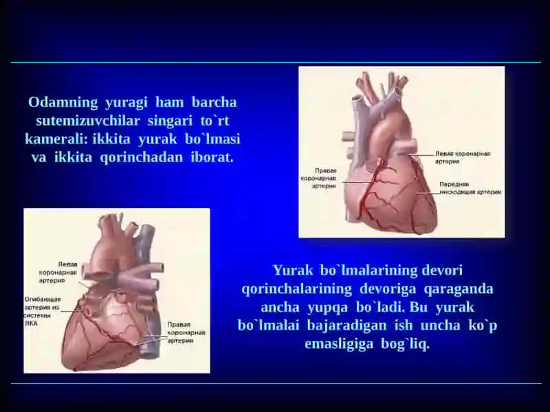 Kattavakichik qonaylanish doirasi 3