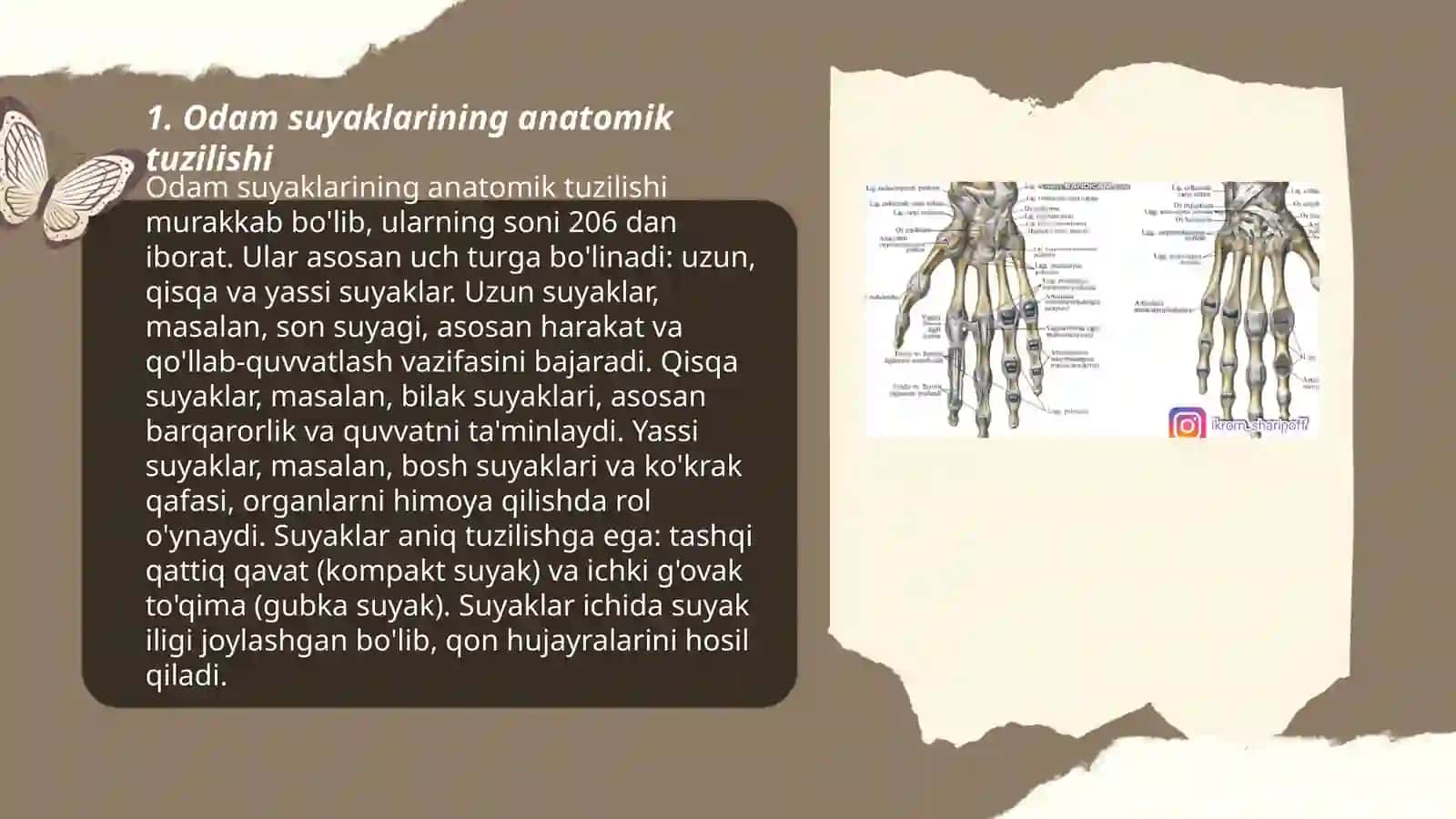 Odam suyaklarini oʻrganish 3