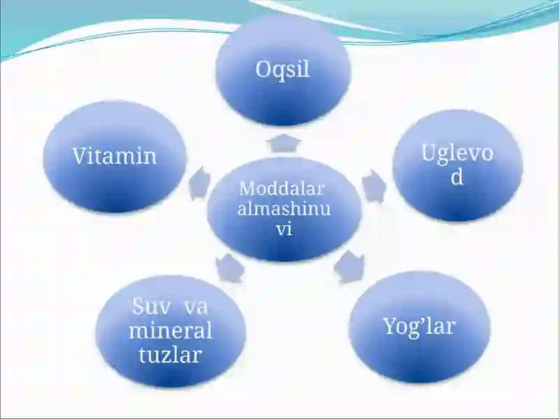 Biologiya: Vitaminlar va ularning moddalari almashinuvi dagi ahamiyati 3