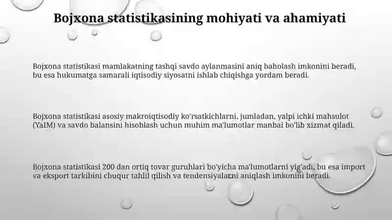 Bojxona statistikasi va uning mamlakat (mintaqa) tashqi savdosining stastistik tekshiruvi 3