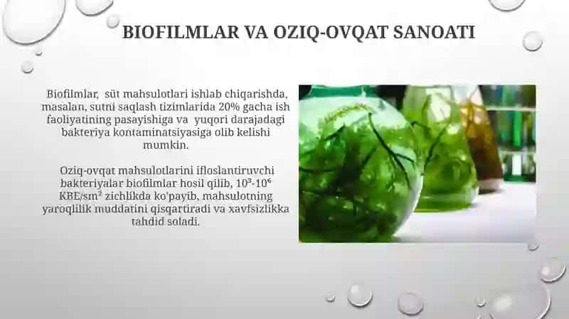 Biofilmlar va oziq-ovqat sanoati 3