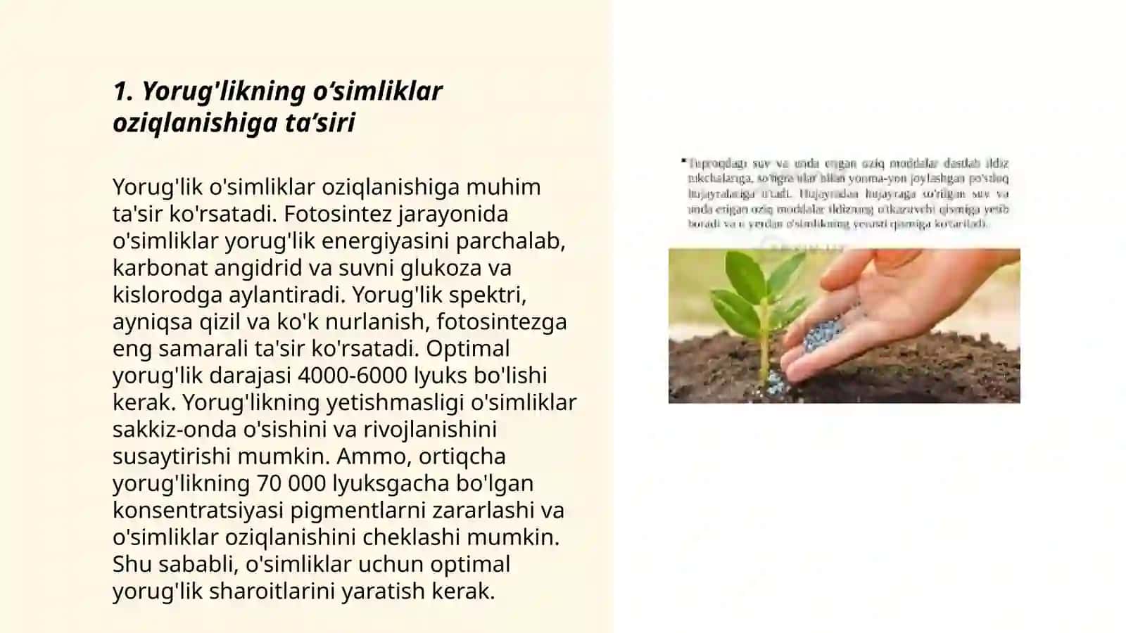 Yorug'likning o‘simliklar oziqlanishiga ta’siri 3
