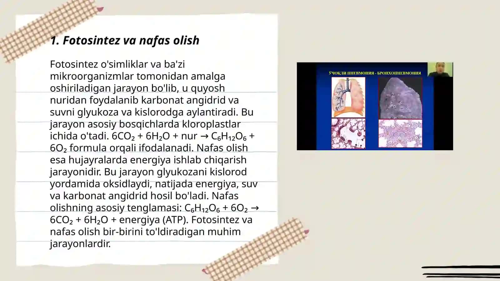Oʻsimliklarda nafas olish mexanizmi 3
