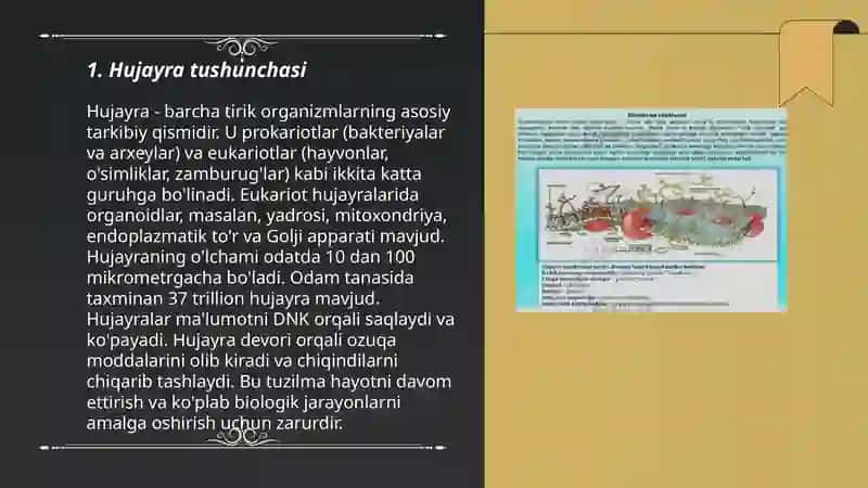hujayra tuzilishi. hujayra nazariyasi 3