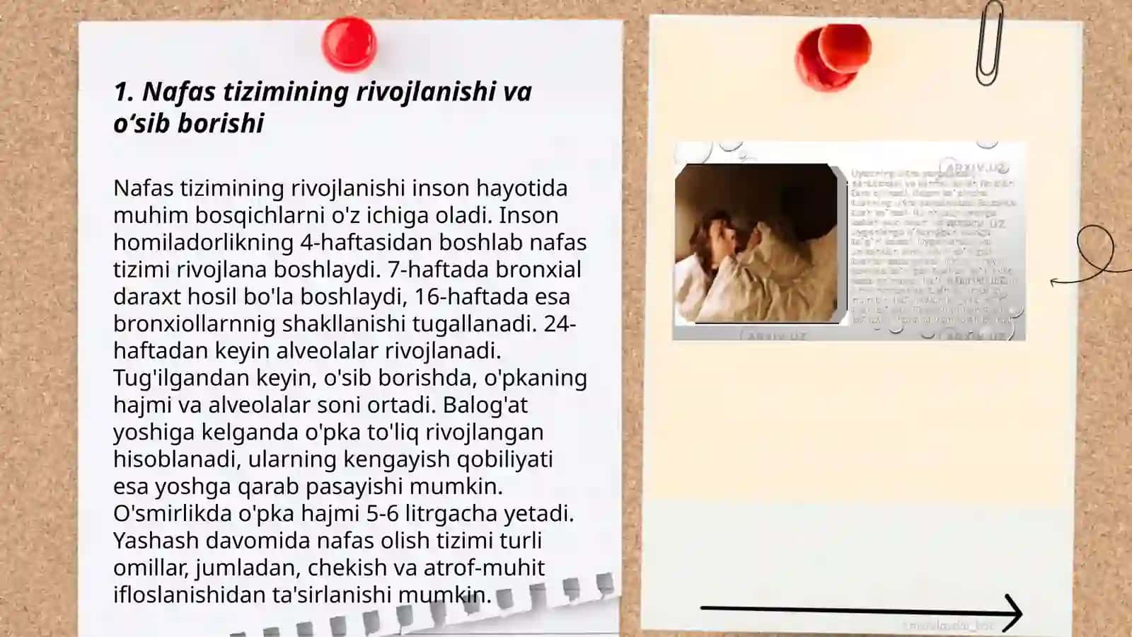 Nafas tizimining yoshga oid fiziologiyasi va gigiyenasi 3