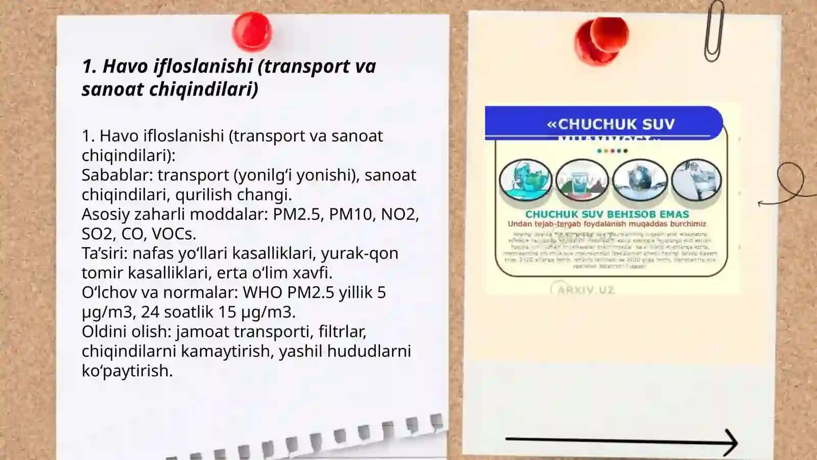 Mening yashash hududidagi ekologik muammo 3
