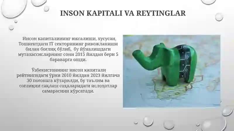 Inson kapitali va reytinglar 3