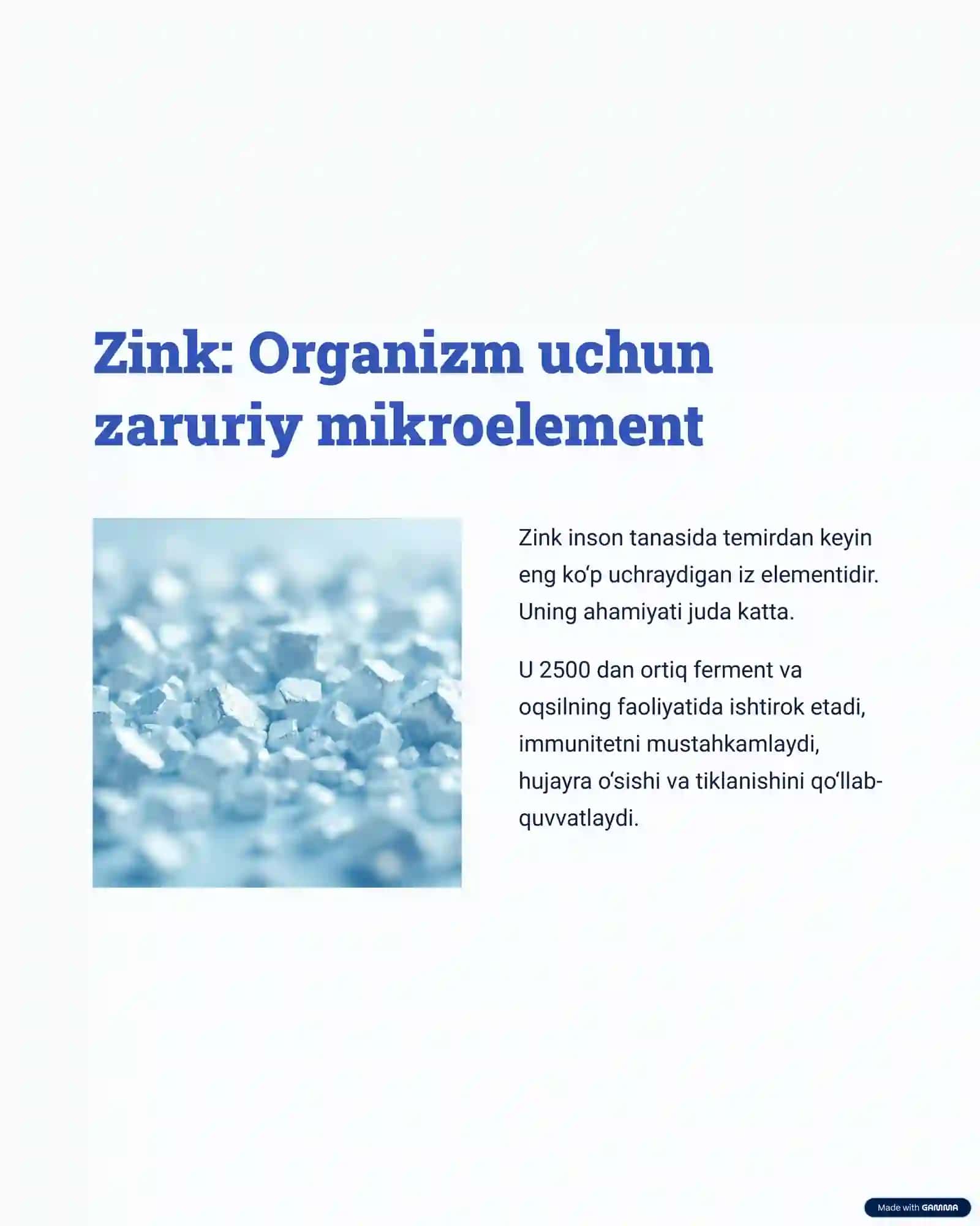 Ziravorlar va Ularning Inson Organizmiga Foydalari 3