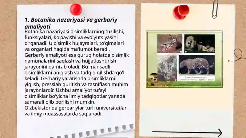 Tabiiy fanlar nazariyasi gerbariy o'simlik hayvonot olami xarita sxemasi ekologik madaniyat 3
