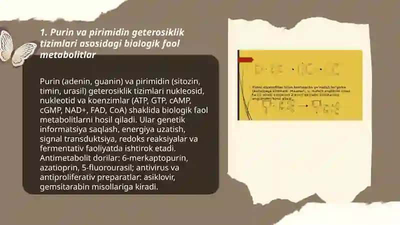 Biologik muxim geterosiklik birikmalar asosidagi metabolitlar va dorivor vositalar 3
