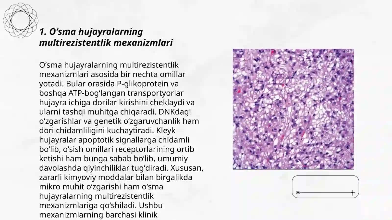 Oʻsma hujayralarning kimyoviy dori vositalariga multirezistentligi 3