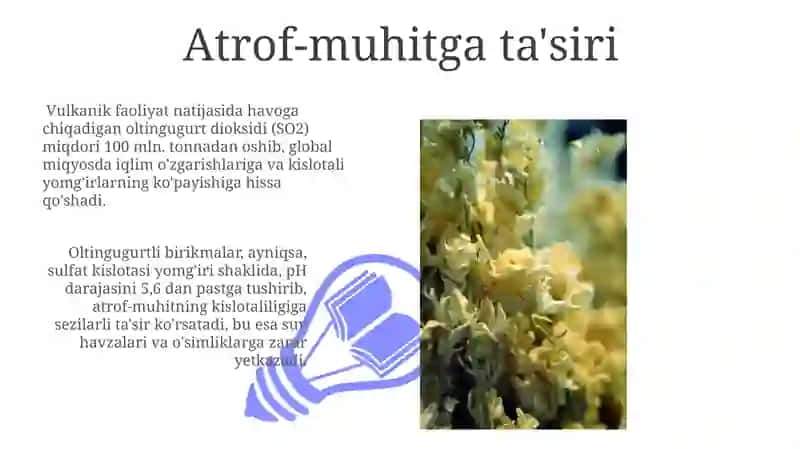 Oltingugurt va uning tabiiy birikmalari 3