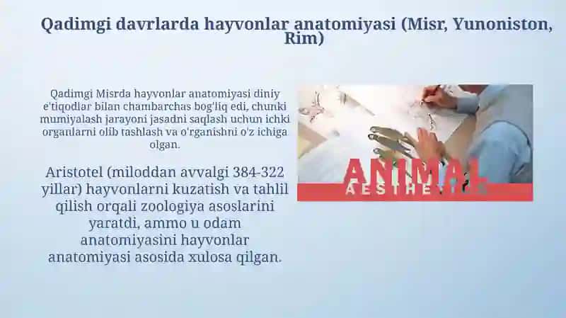 Hayvonlar anatomiyasining tarixi 3