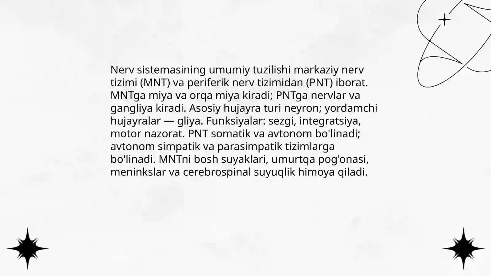 Nerv sistemasining tuzulishi 3