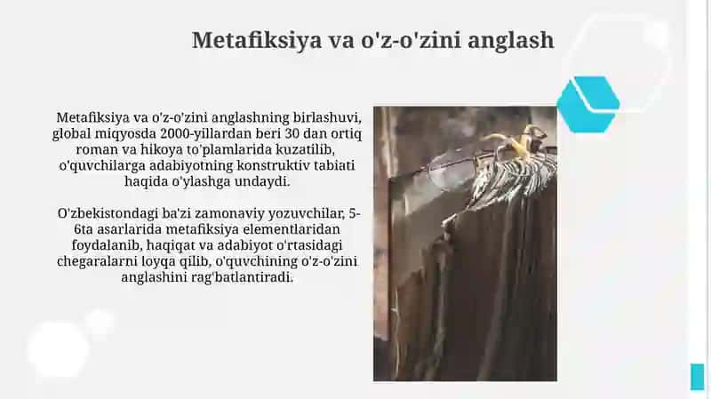 Metafiksiya va o'z-o'zini anglash 3