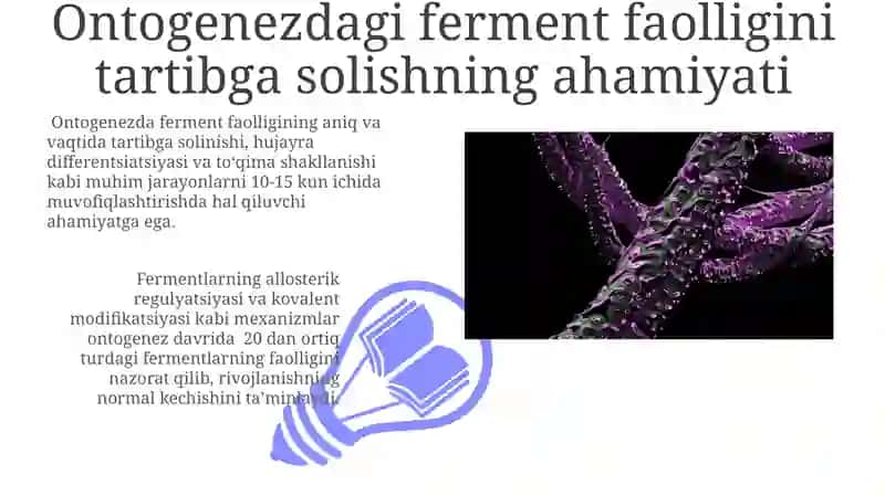 Ontogenezda fermentlar faolligini boshqarishni ahamiyati 3