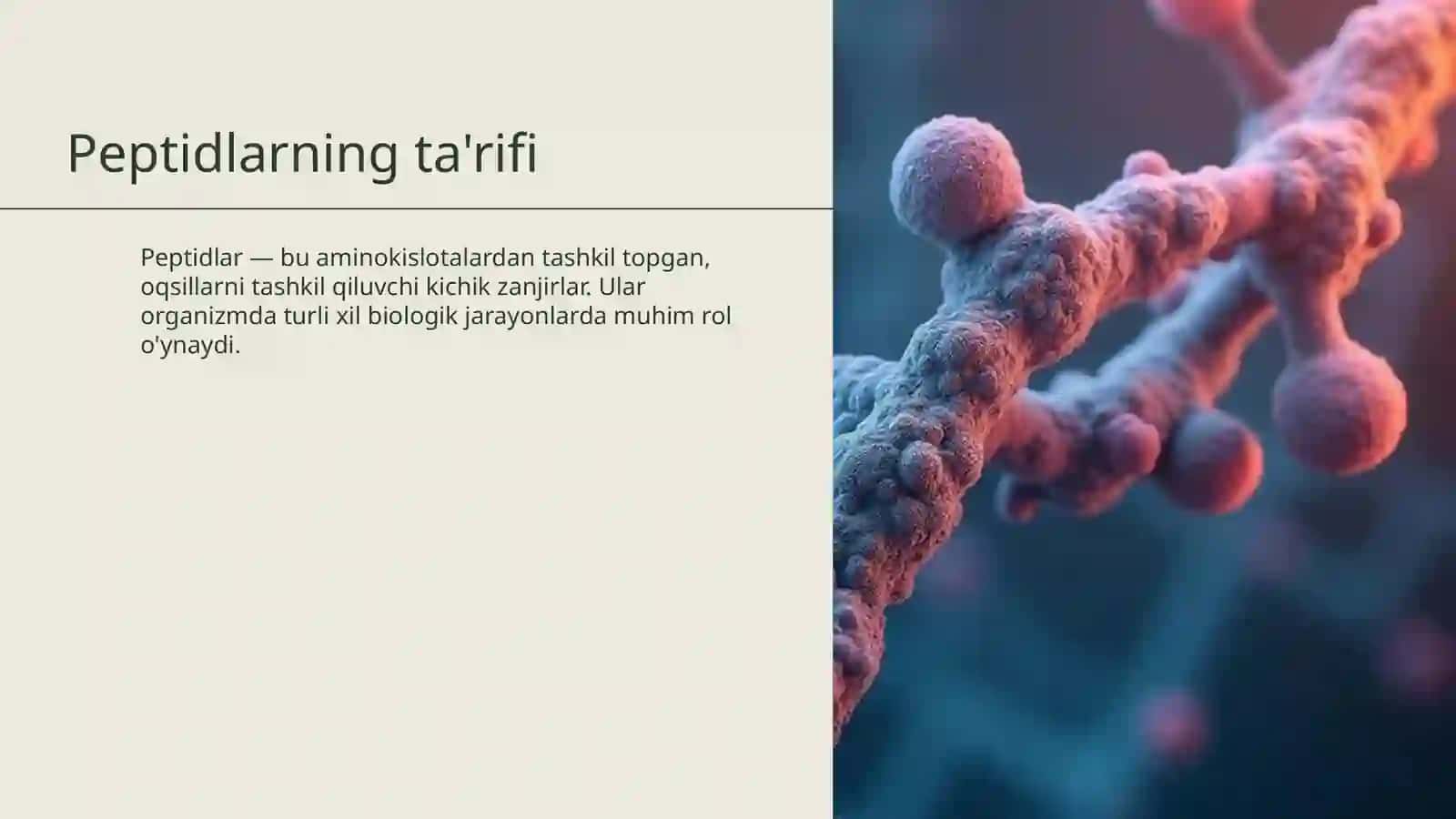Oqsil tabiatli peptid va gormonlar 3