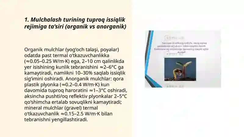 Tuproqning issiqlik rejimiga mulchalashning ta’sirini aniqlash 3