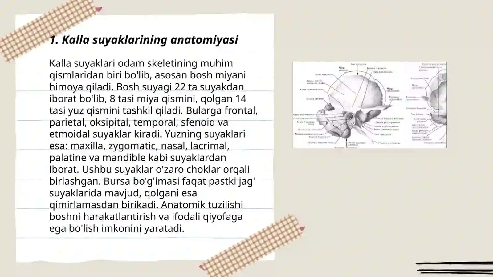 Kalla suyaklari 3