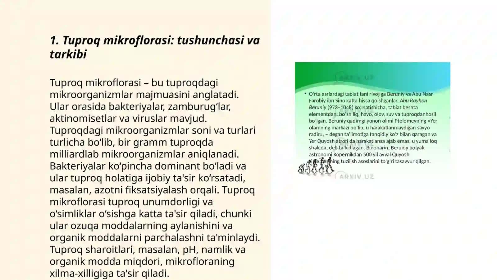 Tuproq paydo boʻlishida mikroorganizmlarining ro'li 3