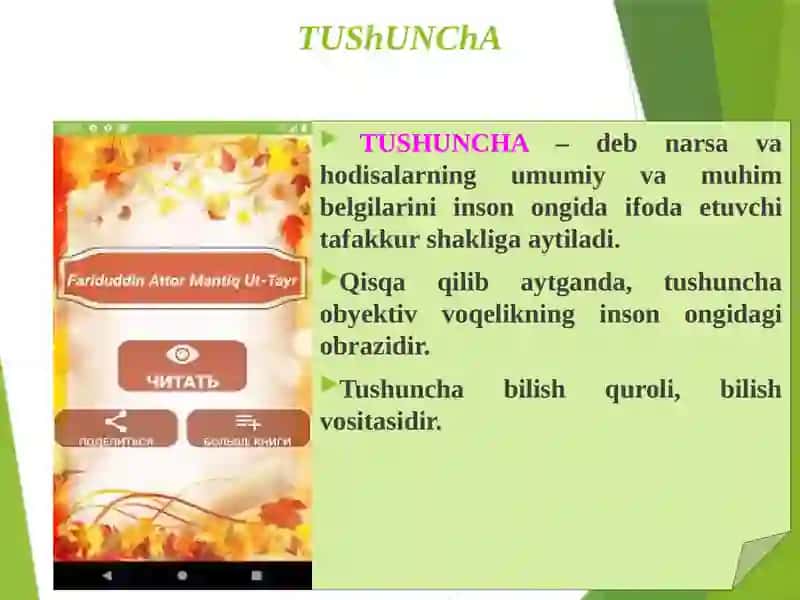 Tafakkur shakllari Tushuncha, hukm, xulosa. 3