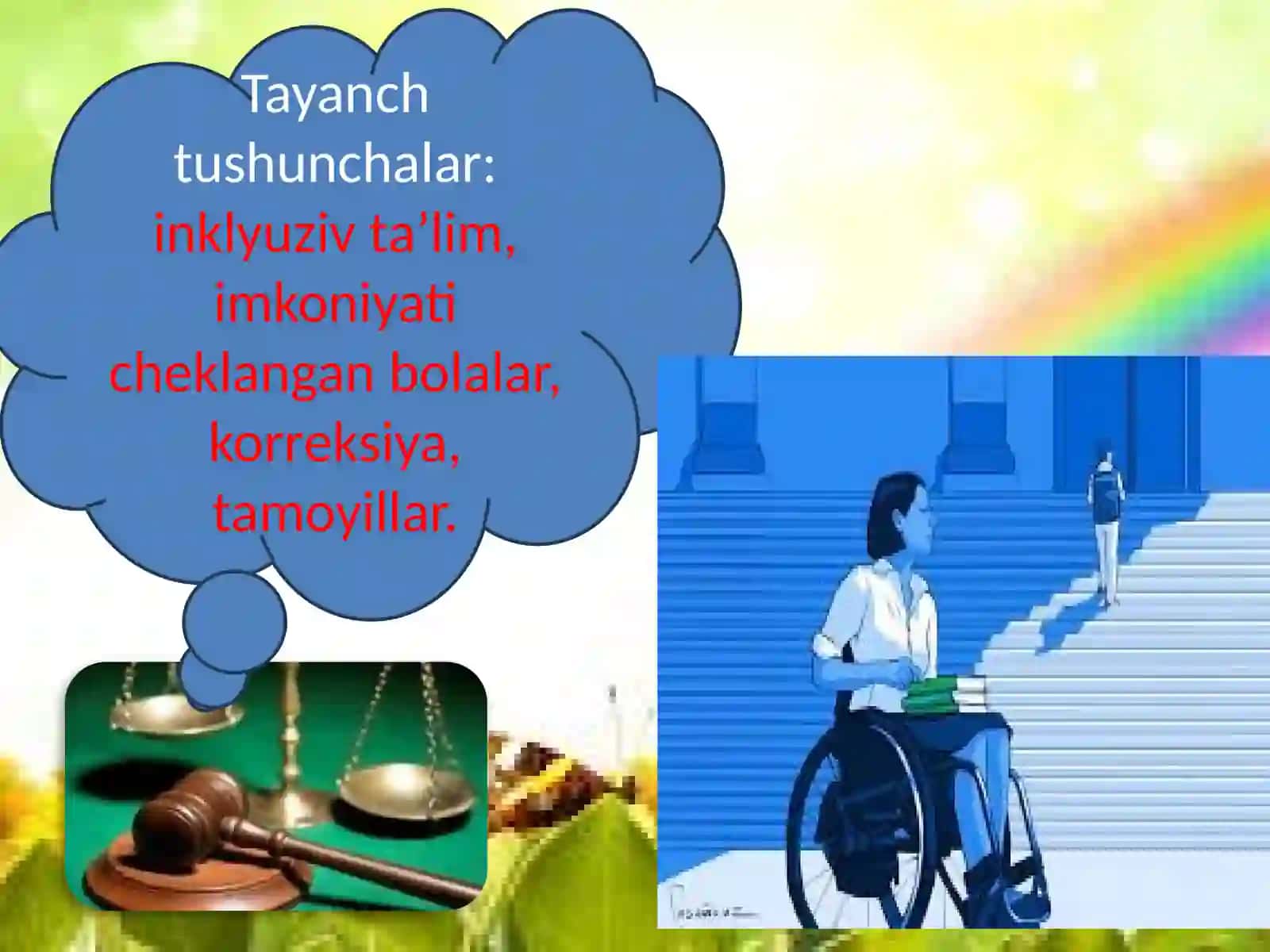 INKLYUZIF TA’LIM, DUNYOQARASH VA TA’LIMIY, KONSEPSIYA SIFATIDA 3