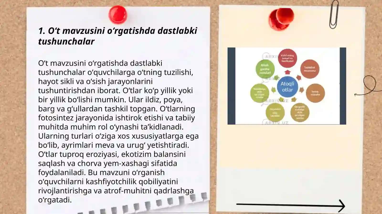 Boshlangʻich sinflarda Ot mavzusini oʻrgatish metodikasi 3