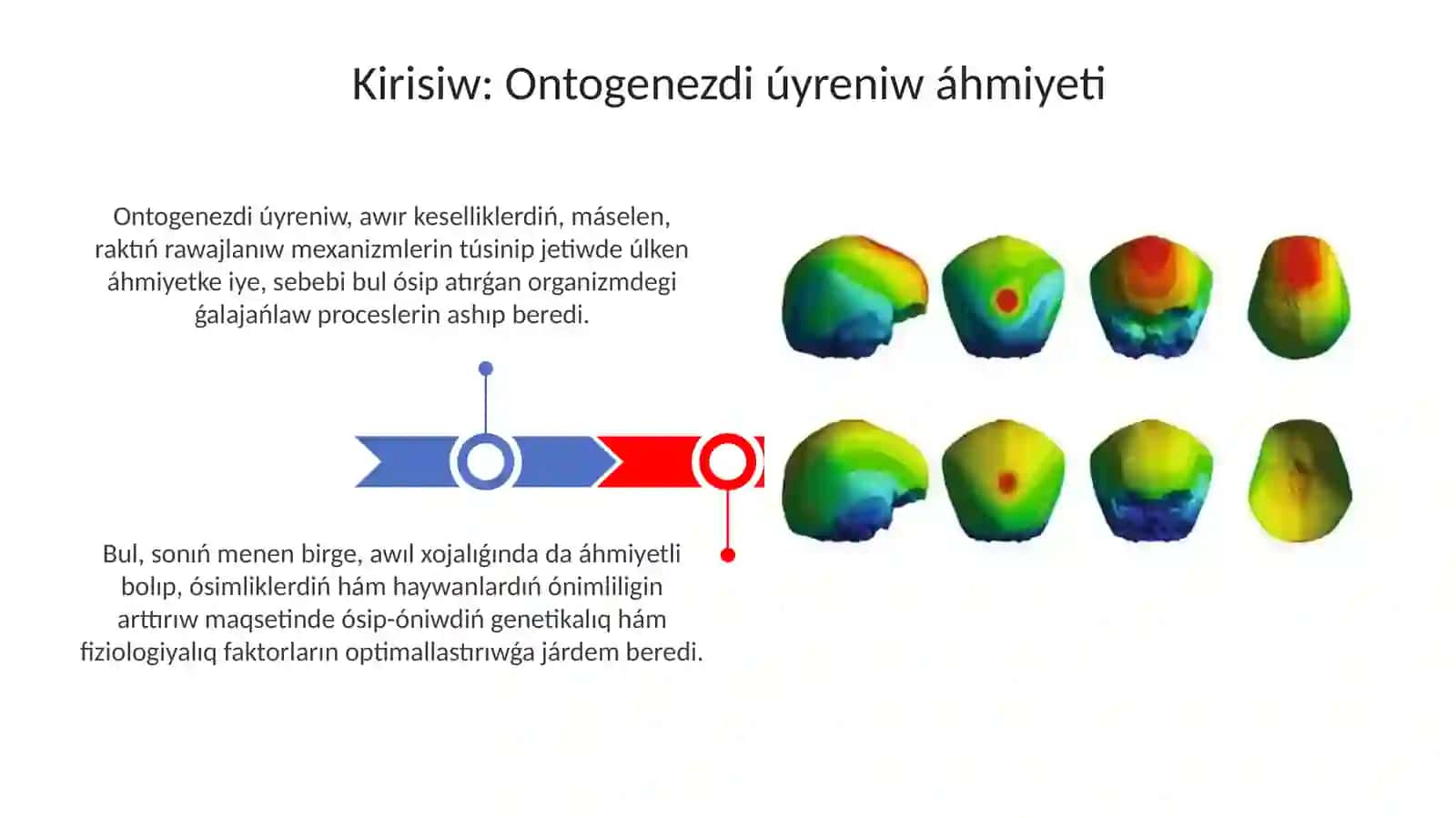 Ontogenezdi uyreniwde qollanilatugin metodlar 3